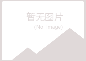 黑河山柳培训有限公司